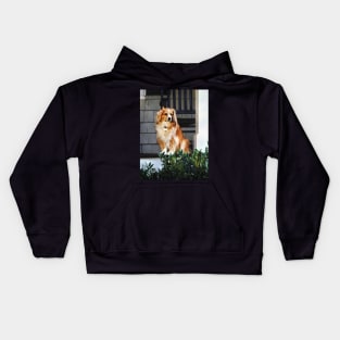 Spaniel on Porch Kids Hoodie